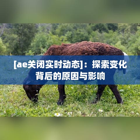 [ae关闭实时动态]：探索变化背后的原因与影响