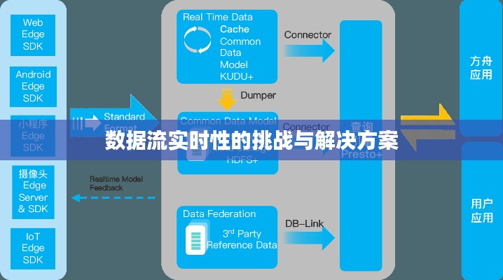 数据流实时性的挑战与解决方案