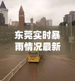 东莞实时暴雨情况最新：城市应对与市民生活影响