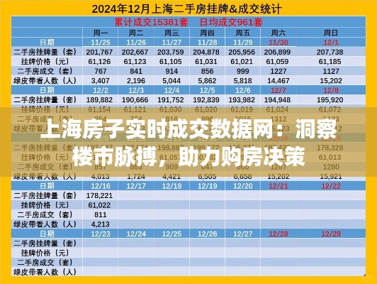 上海房子实时成交数据网：洞察楼市脉搏，助力购房决策