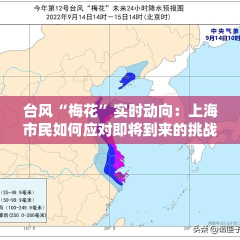 台风“梅花”实时动向：上海市民如何应对即将到来的挑战