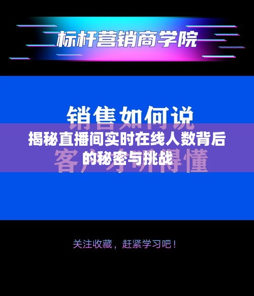 揭秘直播间实时在线人数背后的秘密与挑战