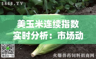 美玉米连续指数实时分析：市场动态与投资策略