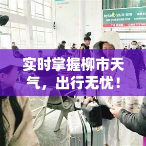 实时掌握柳市天气，出行无忧！