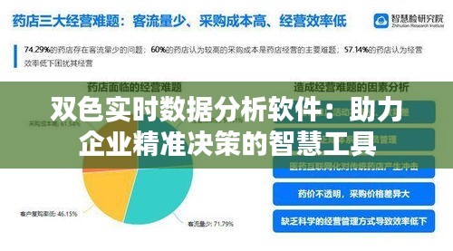 双色实时数据分析软件：助力企业精准决策的智慧工具