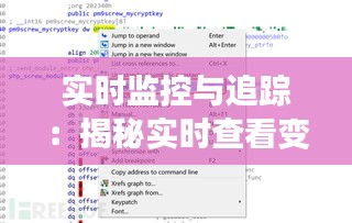 实时监控与追踪：揭秘实时查看变量工具的神秘之地