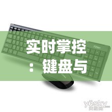 实时掌控：键盘与鼠标在现代办公与游戏中的协同作用