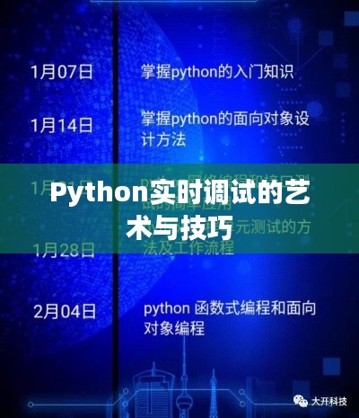 Python实时调试的艺术与技巧