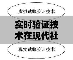 实时验证技术在现代社会的应用与挑战