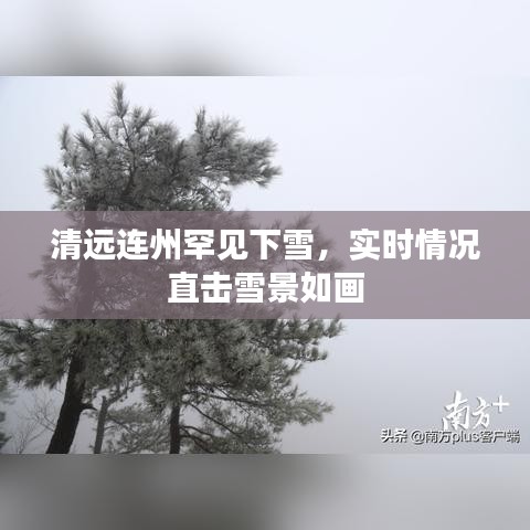 工程案例 第10页