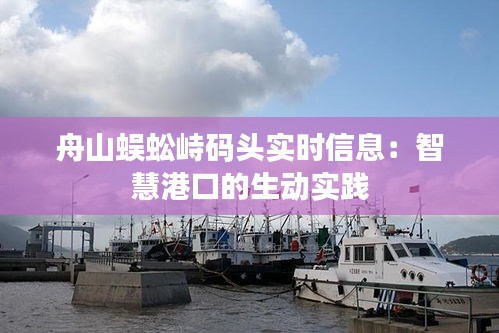 舟山蜈蚣峙码头实时信息：智慧港口的生动实践