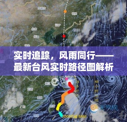 实时追踪，风雨同行——最新台风实时路径图解析