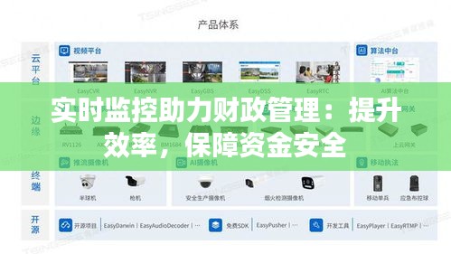 实时监控助力财政管理：提升效率，保障资金安全