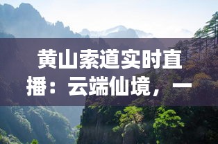 黄山索道实时直播：云端仙境，一键尽收眼底