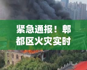 紧急通报！郫都区火灾实时报道，全力救援正在进行中