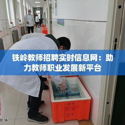 铁岭教师招聘实时信息网：助力教师职业发展新平台