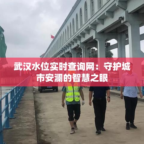 武汉水位实时查询网：守护城市安澜的智慧之眼