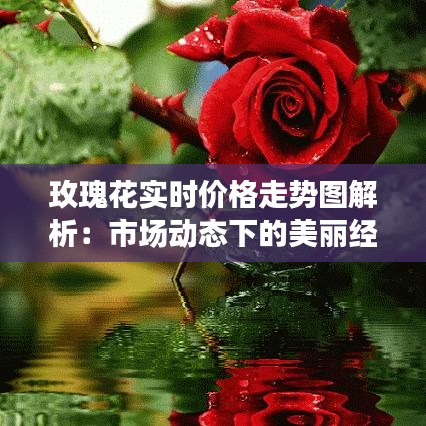 玫瑰花实时价格走势图解析：市场动态下的美丽经济