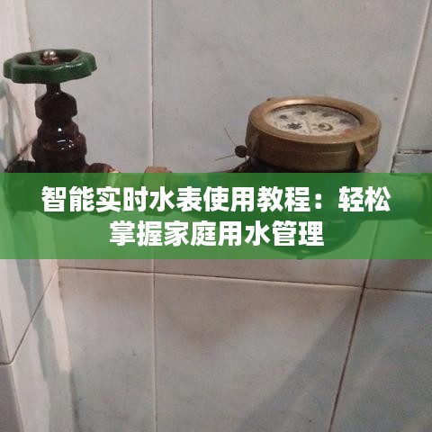 智能实时水表使用教程：轻松掌握家庭用水管理