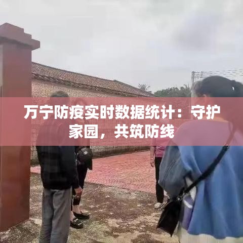 万宁防疫实时数据统计：守护家园，共筑防线