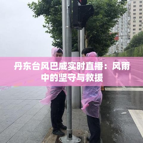 丹东台风巴威实时直播：风雨中的坚守与救援