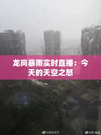 龙岗暴雨实时直播：今天的天空之怒