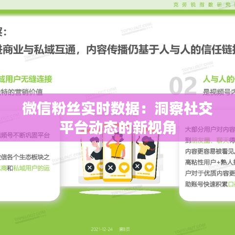 微信粉丝实时数据：洞察社交平台动态的新视角