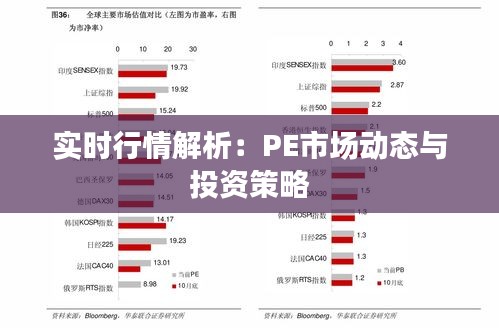 实时行情解析：PE市场动态与投资策略