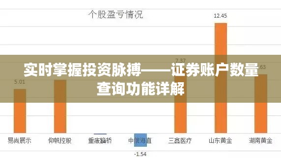 实时掌握投资脉搏——证券账户数量查询功能详解