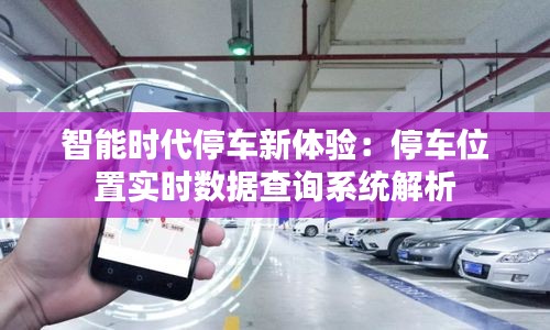 智能时代停车新体验：停车位置实时数据查询系统解析