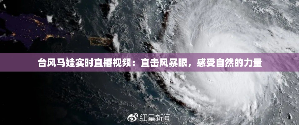 台风马娃实时直播视频：直击风暴眼，感受自然的力量