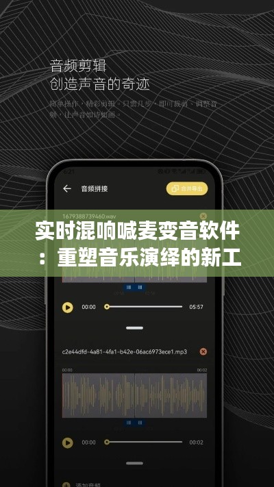 实时混响喊麦变音软件：重塑音乐演绎的新工具