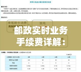 邮政实时业务手续费详解：费用构成与支付方式