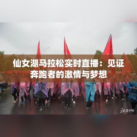 仙女湖马拉松实时直播：见证奔跑者的激情与梦想