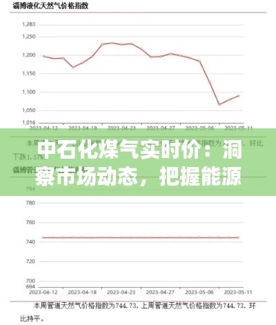 中石化煤气实时价：洞察市场动态，把握能源消费新趋势