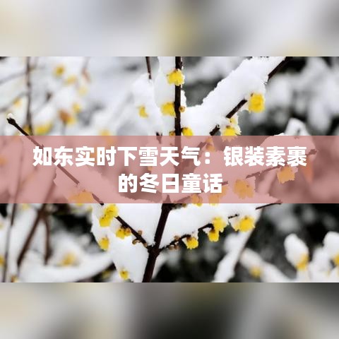 如东实时下雪天气：银装素裹的冬日童话