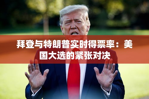 拜登与特朗普实时得票率：美国大选的紧张对决