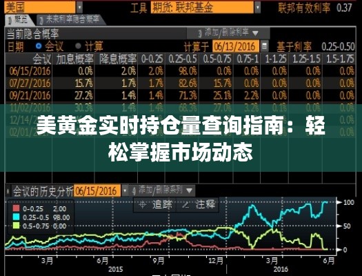 美黄金实时持仓量查询指南：轻松掌握市场动态