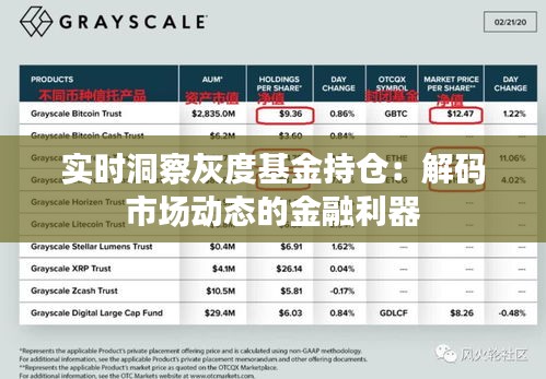 实时洞察灰度基金持仓：解码市场动态的金融利器