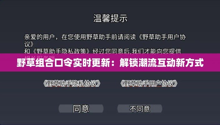 野草组合口令实时更新：解锁潮流互动新方式