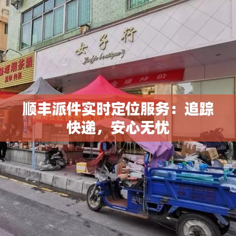 顺丰派件实时定位服务：追踪快递，安心无忧