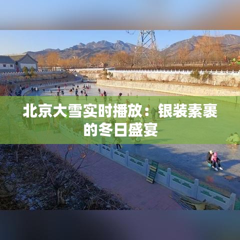 北京大雪实时播放：银装素裹的冬日盛宴