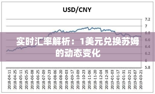 实时汇率解析：1美元兑换苏姆的动态变化