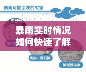 暴雨实时情况如何快速了解——全方位指南