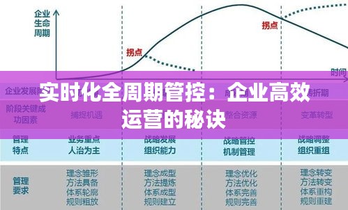 实时化全周期管控：企业高效运营的秘诀