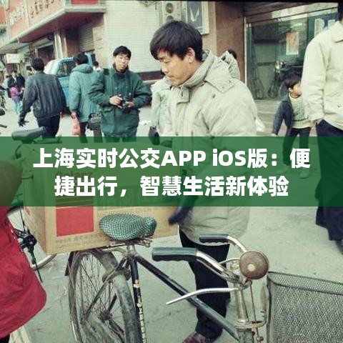 上海实时公交APP iOS版：便捷出行，智慧生活新体验