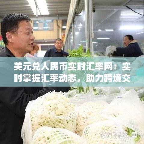 美元兑人民币实时汇率网：实时掌握汇率动态，助力跨境交易