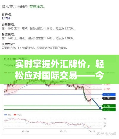 实时掌握外汇牌价，轻松应对国际交易——今天外汇牌价实时查询全解析