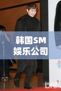 韩国SM娱乐公司SMTOWN的实时动态解析