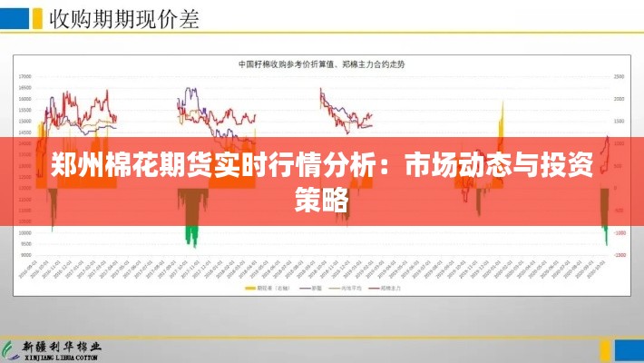 郑州棉花期货实时行情分析：市场动态与投资策略